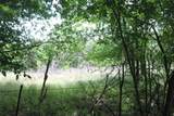 000 County Road 282 - Photo 5
