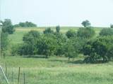 389 Hilltop Trail - Photo 23