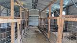 458 Fm 1600 - Photo 27