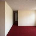 1712 Effie Street - Photo 13