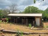 10308 Lisa Jean Drive - Photo 37