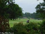 8020 Pines Road - Photo 14