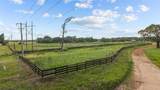 3216 Old Ewing Road - Photo 11