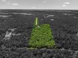 868 County Road 405 - Photo 26