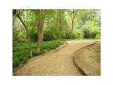 4859 Cedar Springs Road - Photo 12