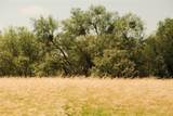 10405 Lipan Highway - Photo 10