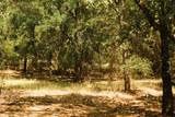 10405 Lipan Highway - Photo 12