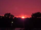 752 Ruellia Street - Photo 32