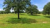 7900 Highway 6 - Photo 36