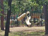 197 Holly Hill Circle - Photo 29