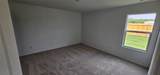 1121 Desert Willow - Photo 8