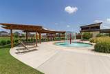 1023 Coralberry Way - Photo 6
