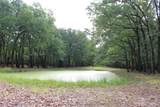 1204 Red Hawk Bay Drive - Photo 12