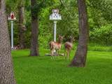 8307 Charlya Drive - Photo 4