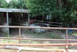 1199 County Road 1245 - Photo 18
