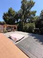 3101 Bandolino Lane - Photo 23