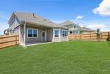 6937 Night Owl Lane - Photo 18