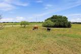 5835 Fm 1744 - Photo 7