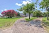 7871 Shady Lane - Photo 10