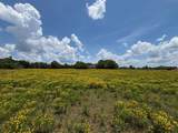 3834 Fenley Flat Road - Photo 4