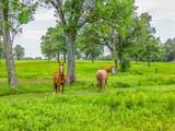 548 County Road 2301 - Photo 35