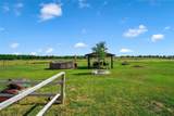 14695 Highway 6 - Photo 5
