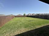 929 Alton Drive - Photo 16