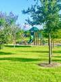 113 Alydar Lane - Photo 11