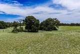 10362 Farm Road 3326 - Photo 31