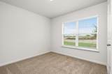319 Revolution Drive - Photo 9