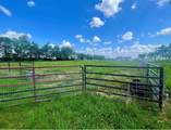 1692 Farm Road 2653 - Photo 3