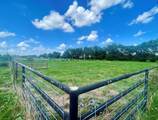 1692 Farm Road 2653 - Photo 5