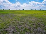 11436 St Hwy 171 - Photo 15
