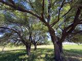 950 County Road 126 - Photo 4