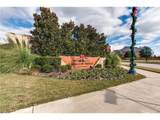 12443 Tealsky Drive - Photo 32