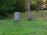 10457 State Highway 110 - Photo 30