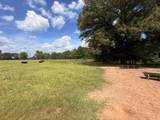 5767 Fm 2339 - Photo 7