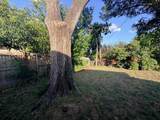 10208 San Lorenzo Drive - Photo 28