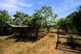 3325 Dove Creek Road - Photo 40
