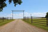 331 County Road 156A - Photo 1