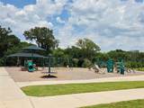 1007 Marigold Street - Photo 18