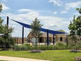 1007 Marigold Street - Photo 19