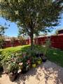 732 Dandelion Drive - Photo 26