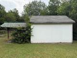 319 Shenandoah Street - Photo 3