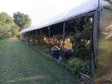 6174 Farnsworth Drive - Photo 4