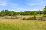 4611 County Road 226 - Photo 23