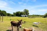 5848 County Road 283 - Photo 34