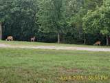 137 Oakview Road - Photo 40