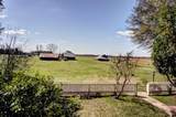 3110 Hwy 494 - Photo 19