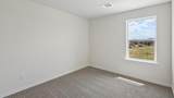 2049 Whispering Lane - Photo 14
